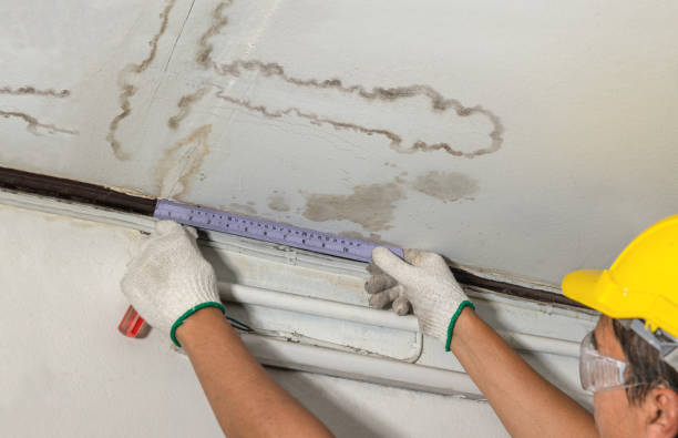 Reliable Mold Remediation contractor in Coral, MI by Local Water Damage Repair